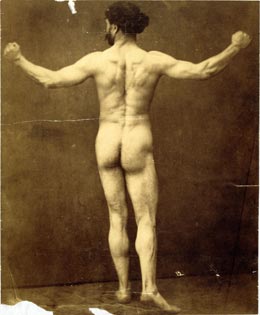 Gaudenzio Marconi, Modèle masculin nu de dos, vers 1870, [Ph.09109]