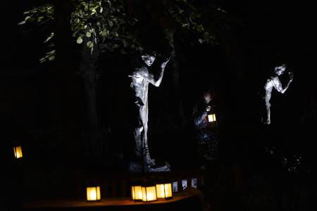 La traversée du sous-bois